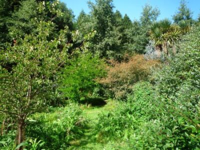 Introducing Forest Gardening – Beautiful, Productive, Edible Gardens Image